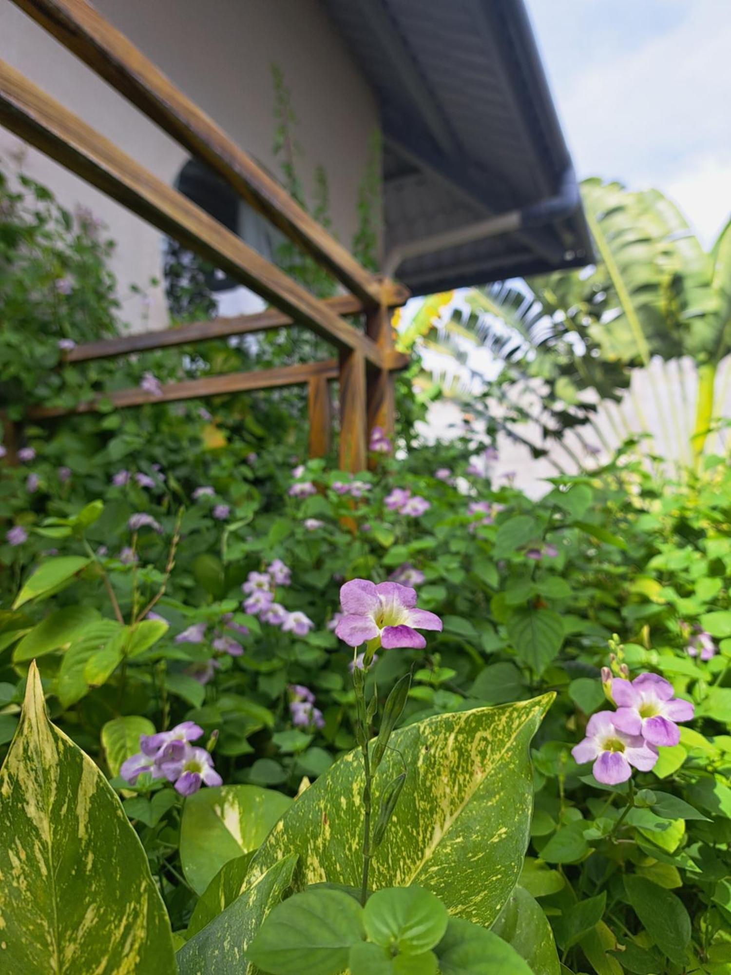 Golden Lotus Spa & Homestay Ap Thien Phuoc Exterior foto