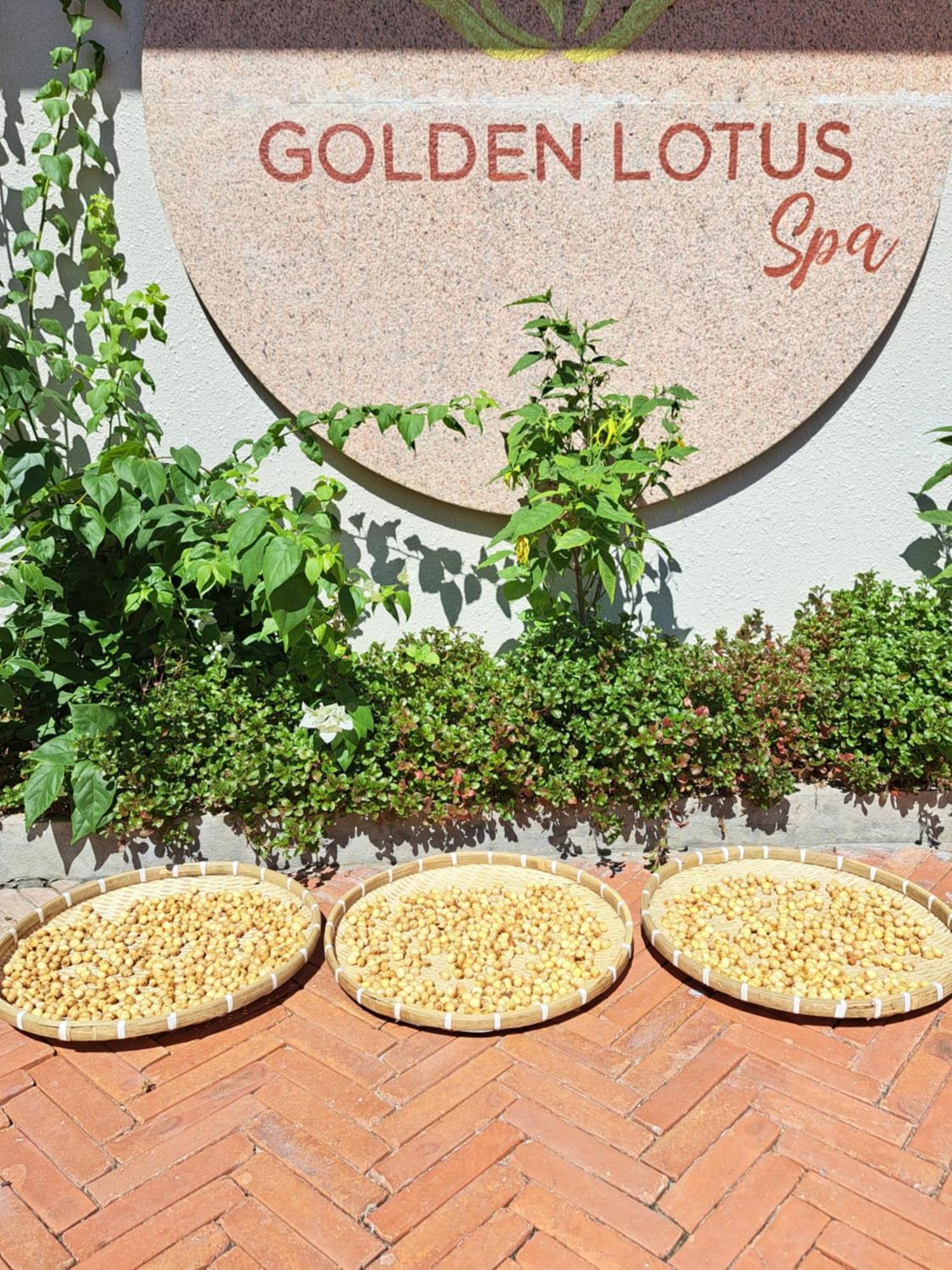 Golden Lotus Spa & Homestay Ap Thien Phuoc Exterior foto